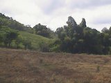 Halifax Spring Garden, St. Ann, Jamaica - Commercial/farm land for Sale